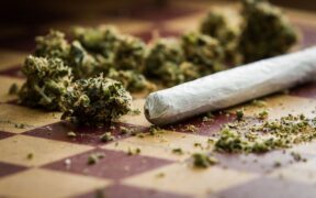 DEA Suggests Downgrading Marijuana to Less Dangerous Drug