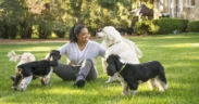 Oprah Winfrey Says Her Dogs Helped Her Through Life’s Toughest Moments