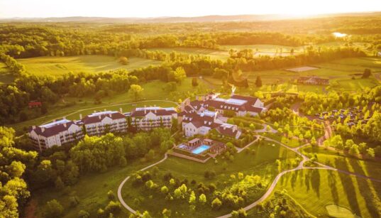 Top 20 Biggest Black-Owned Companies in the US