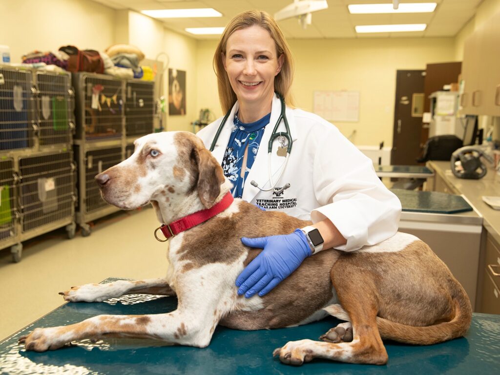 Fujifilm Vet Systems Launch Nu.Q® Vet Cancer Test in Japan