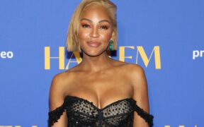 Meagan Good Uses Real-Life Divorce to Inspire in 'Divorce in the Black'