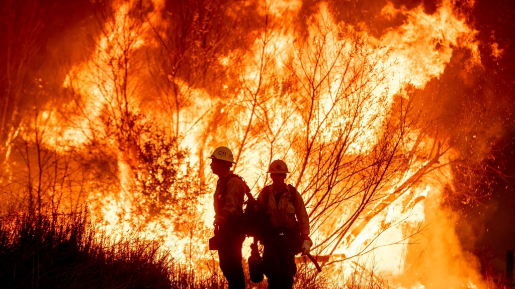 Caught in the Act: Suspect Arrested for Starting Devastating Kenneth Fire in LA