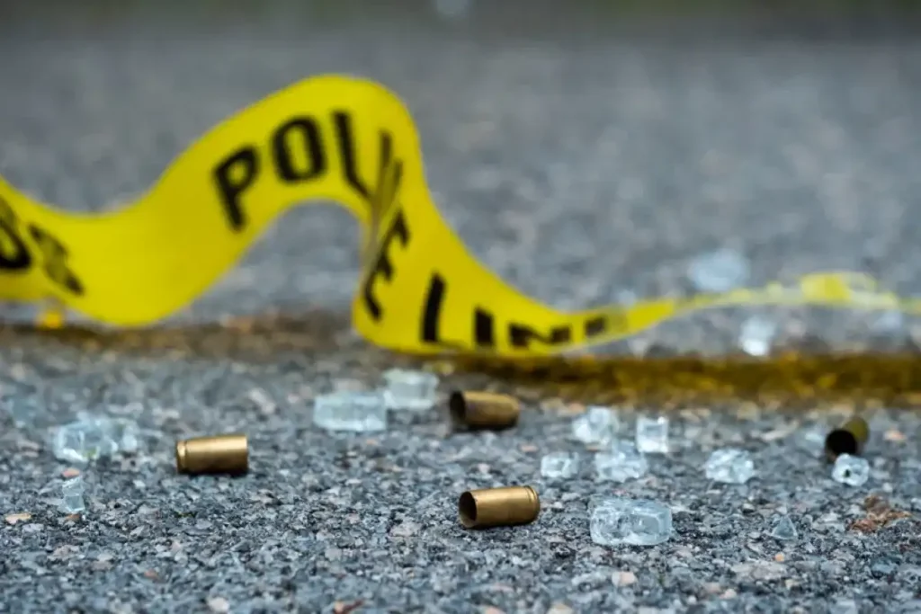 Man Hospitalized After Being Shot by Miami Police Officer During Caribbean Festival