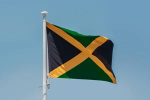 Jamaican Man Detained in Eswatini Under U.S. “Third-Country” Program Repatriated to Kingston