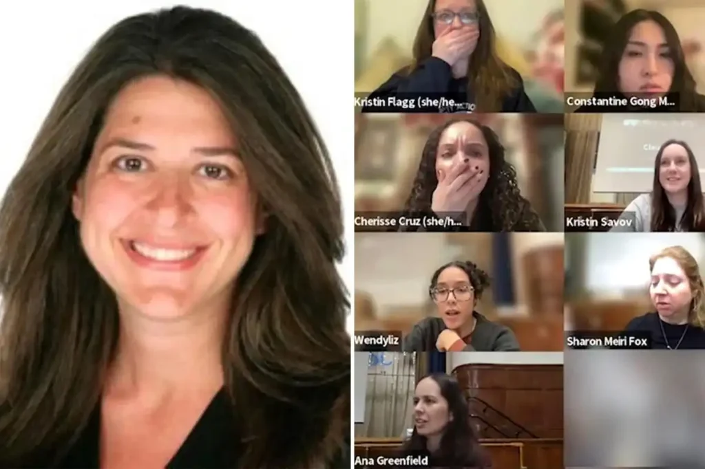 Hunter College Allyson Friedman Criticized Over Racist Remark