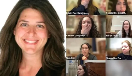 Hunter College Allyson Friedman Criticized Over Racist Remark