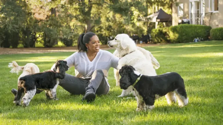 Oprah Winfrey Says Her Dogs Helped Her Through Life’s Toughest Moments