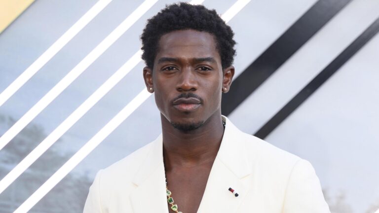 Damson Idris Had the Talent. What He Needed Was Market Access.